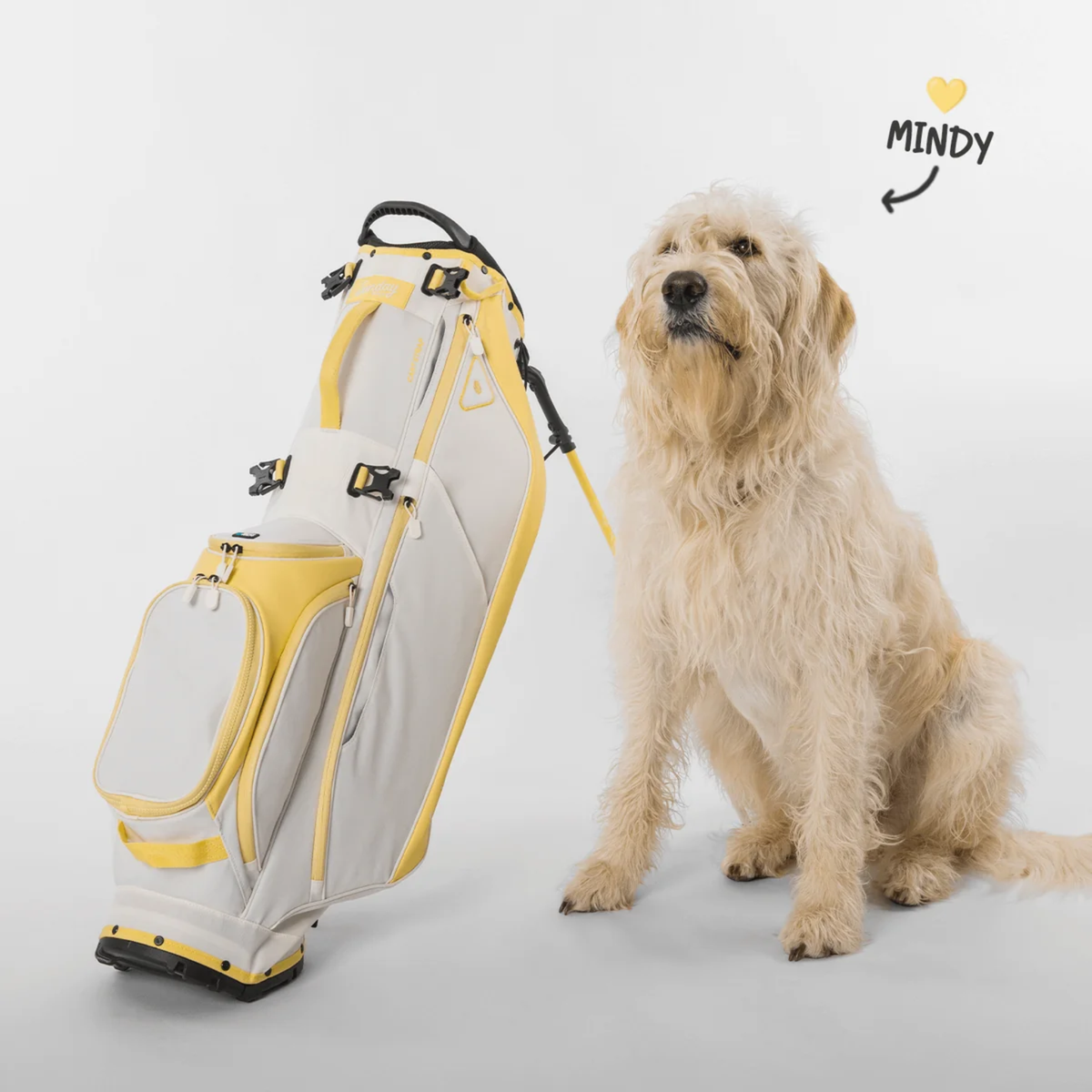 Sunday Golf Ryder Stand Bag