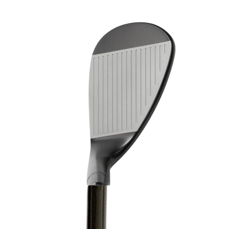 Mizuno Pro T1 Black Ion - Steel