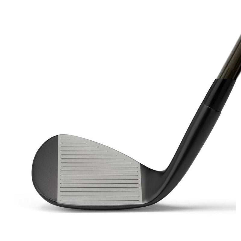 Mizuno Pro T1 Black Ion - Steel
